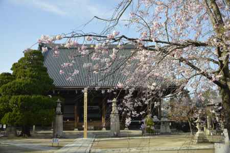 妙顕寺