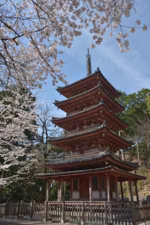 海住山寺