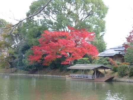 大沢池