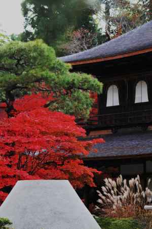 銀閣寺